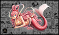 Shirahoshi Mermaid Princess One Piece TCG playmat full design, 24x14 inch premium anime playmat